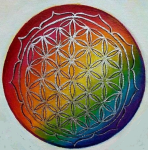 The flower off life